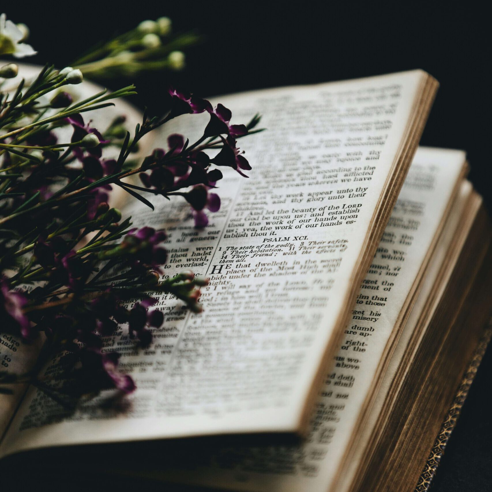 Dark background with old book and purple flowers on top